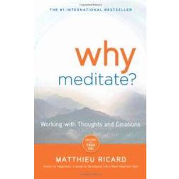 Why Meditate? [With CD (Audio)] (Ljudbok, CD, 2010)